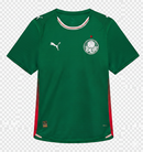 Camisa do Palmeiras I 26/27 Jogador Puma Masculina